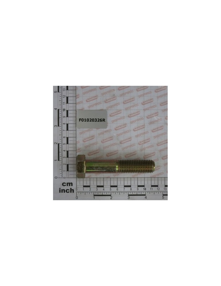SCR. M20X2,5X100 5737 10.9 ZD