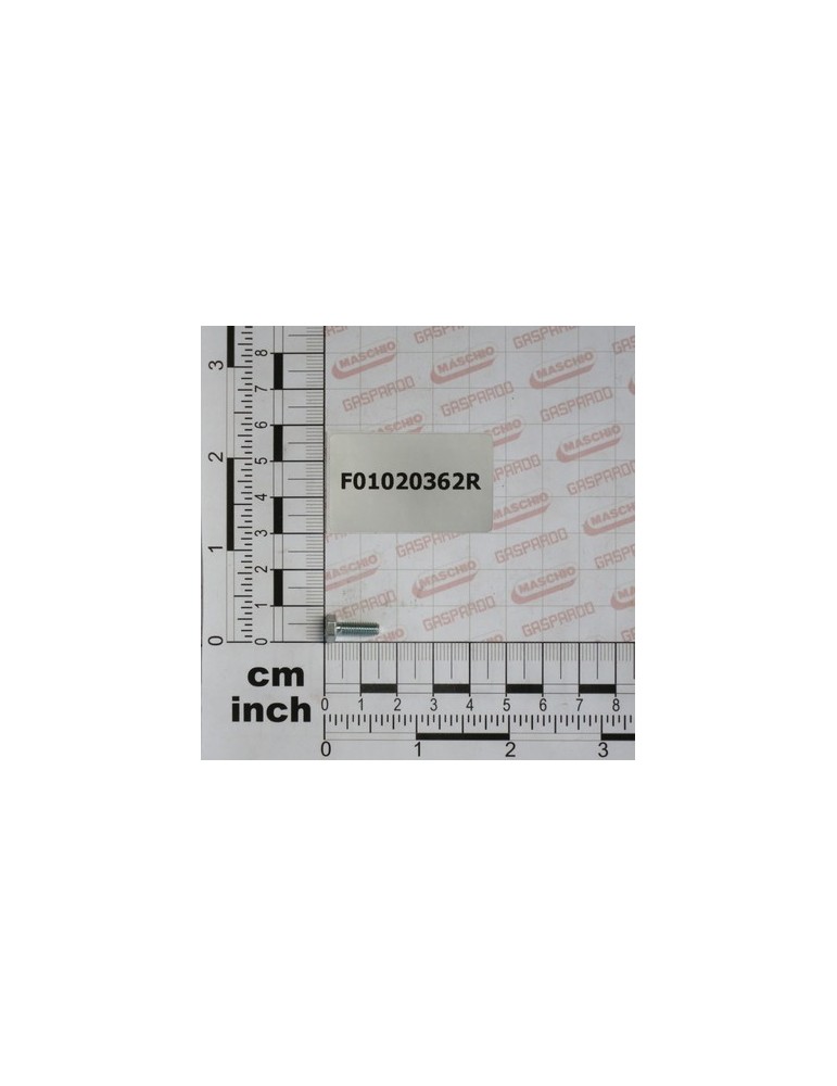 SCR. M4X0,7X12    U5739  8.8ZN