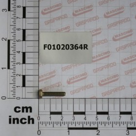 SCR.M 4X 0,7X 20 U5739  8.8 ZN