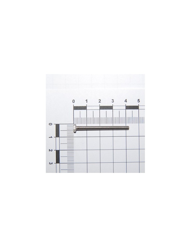 SCR. M3X0,5X40    U5739  8.8ZN