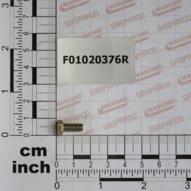 SCR. M5X0,8X12    U5739  8.8ZN