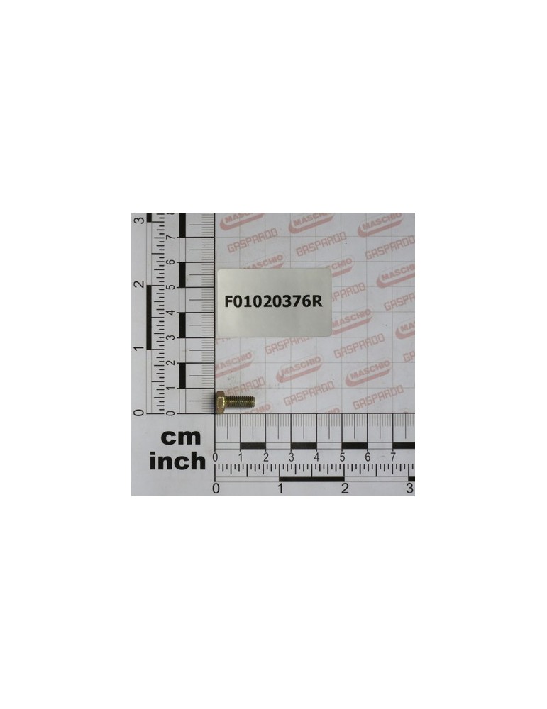 SCR. M5X0,8X12    U5739  8.8ZN