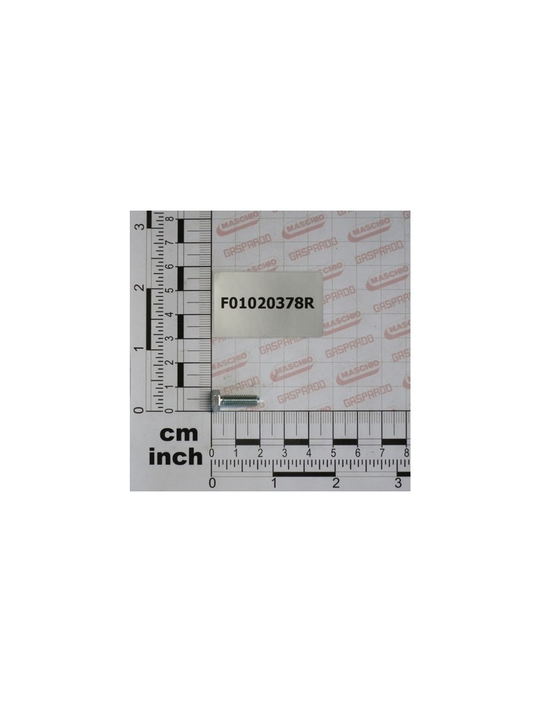 SCR. M5X0,8X16    U5739  8.8ZN