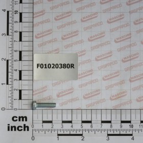 SCR. M5X0,8X20    U5739  8.8ZN