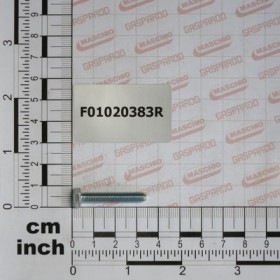 SCR. M5X0,8X30    U5739  8.8ZN
