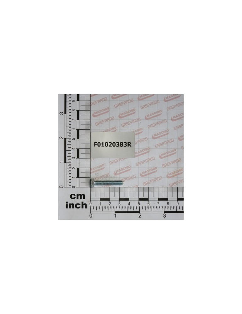 SCR. M5X0,8X30    U5739  8.8ZN