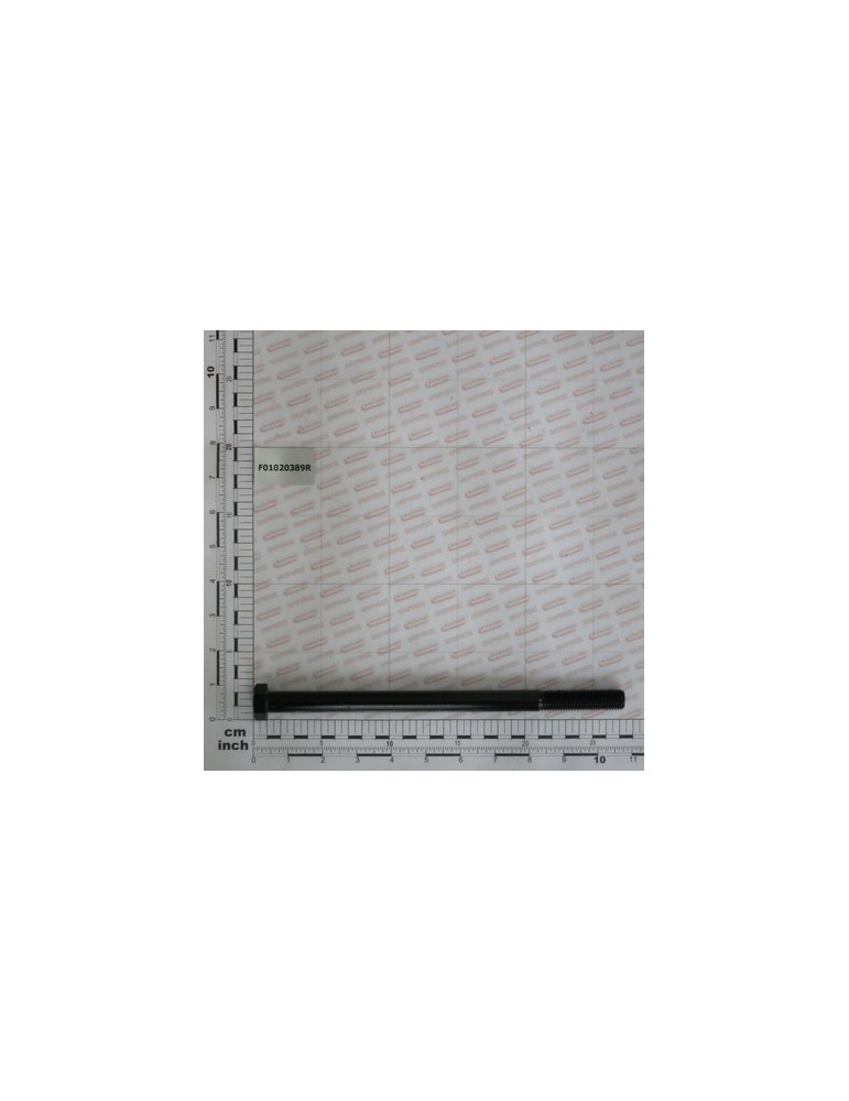 SCR. M16X2X260    U5737  8.8