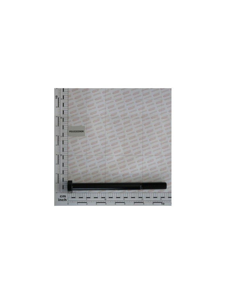 SCR. M20X2,5X250  U5737 10.9