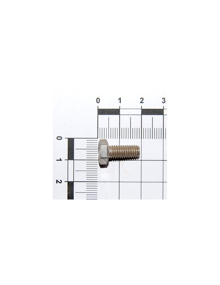SCREW M6X1X14 U5739 8.8 GALV.
