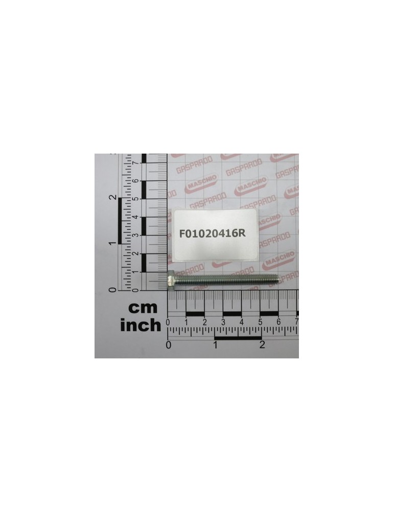 SCR. M6X1X55      U5739  8.8ZN