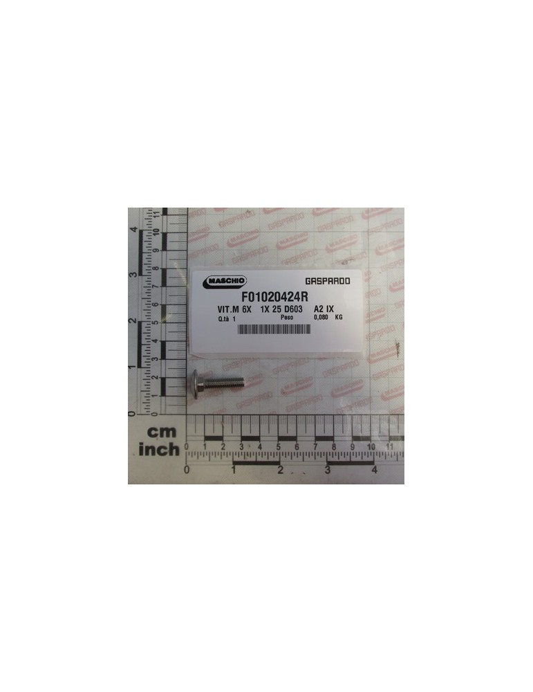SCREW M6X1X25 A2 IX