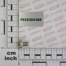 SCR. M8X1,25X12   U5739   A2IX