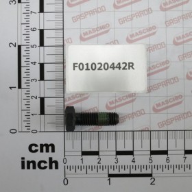 SCR. M8X1,25X25   U5739  8.8DL