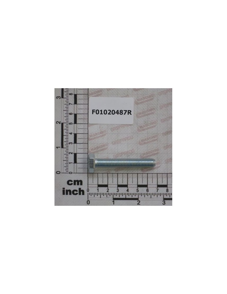 SCR. M10X1,5X60   U5739  8.8ZN
