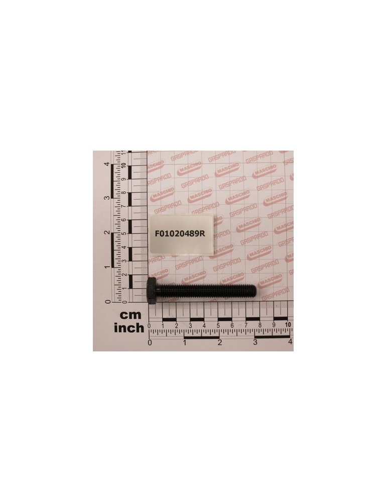 SCR. M10X1,5X70   U5739  8.8BR