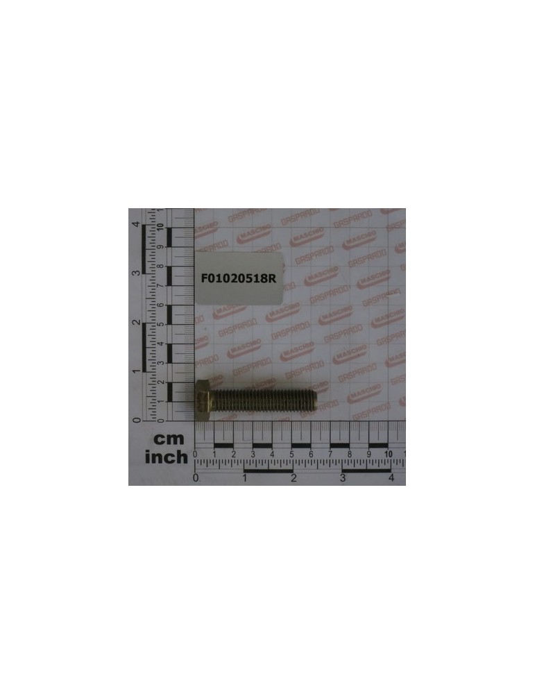 SCR. M12X1,75X55  U5739  8.8ZN