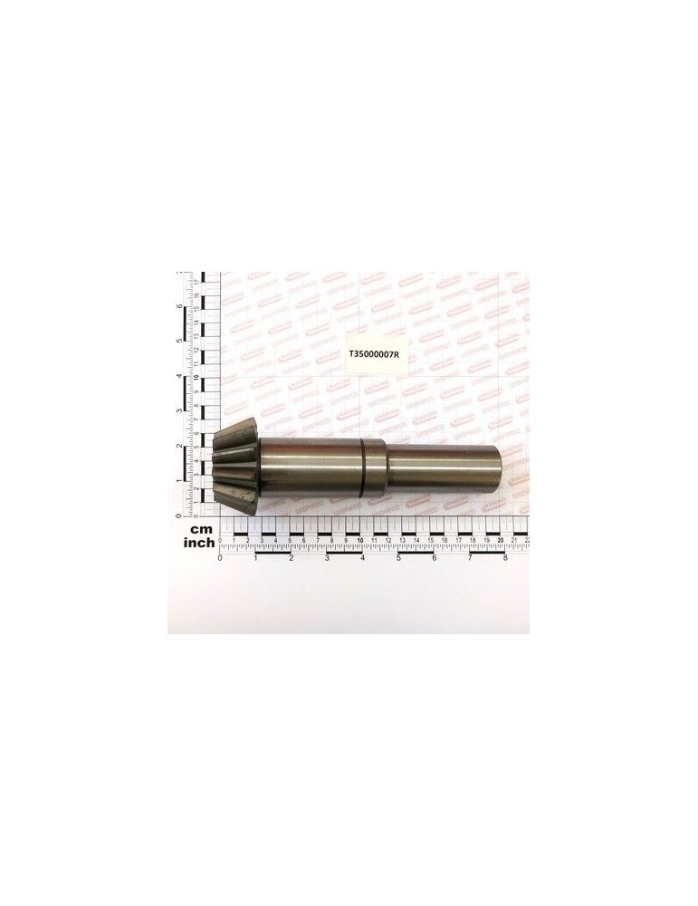 Maschio Gaspardo 0.313.5001.00 PIGNONE BS T35000007R