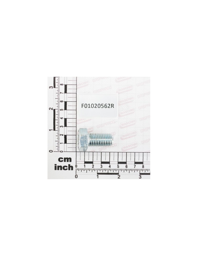 SCR. M16X2X30     U5739  8.8ZN