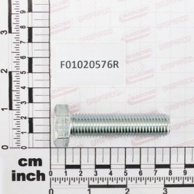 SCR. M16X2X65     U5739  8.8ZN