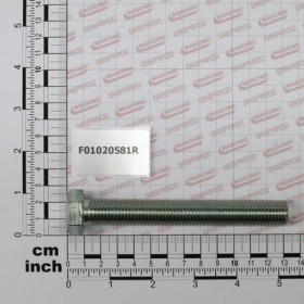 SCR. M16X2X120    U5739  8.8ZN
