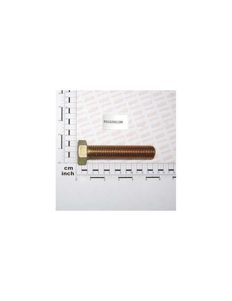 SCR. M24X3X120    U5739  8.8ZN