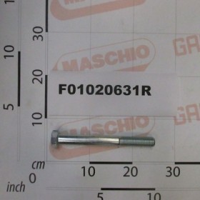 SCR. M24X3X220    U5737 10.9ZN