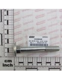 SCR. M12X1,75X85  U5731  8.8ZN