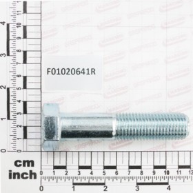 SCR. M22X2,5X100  U5737  8.8ZN