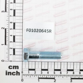 TE SCREW 1/2 \"X 2\" ISO 4017 ZN