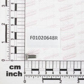 SCR. M5X0,8X12    U5739   A2IX
