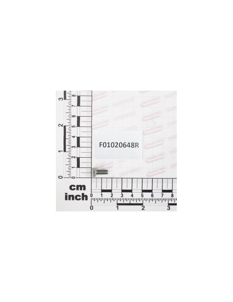 SCR. M5X0,8X12    U5739   A2IX
