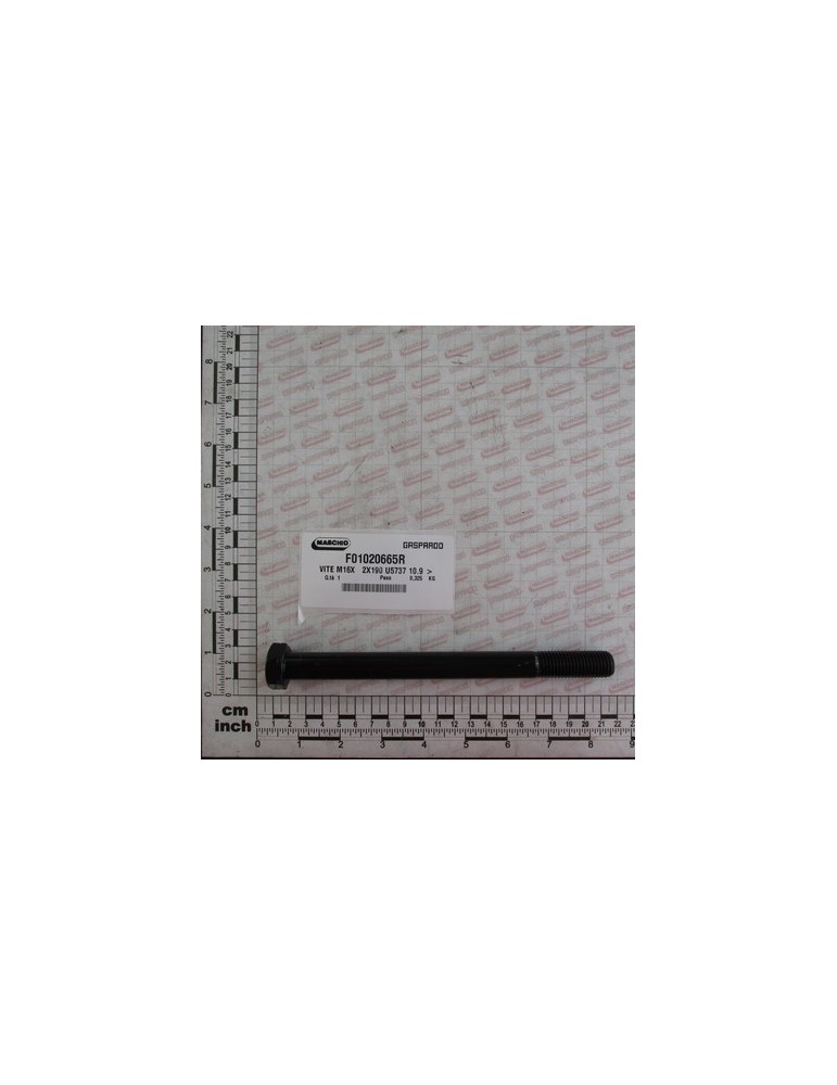 SCR. M16X   2X190 U5737 10.9