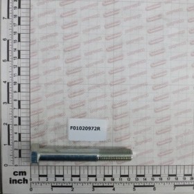 SCR.M16X2X110 8.8 ZN