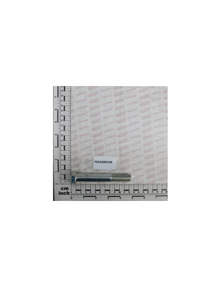 SCR.M16X2X110 8.8 ZN