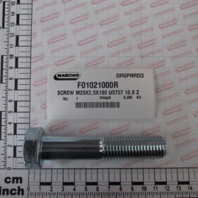 SCREW M20X2,5X100 U5737 10.9ZN
