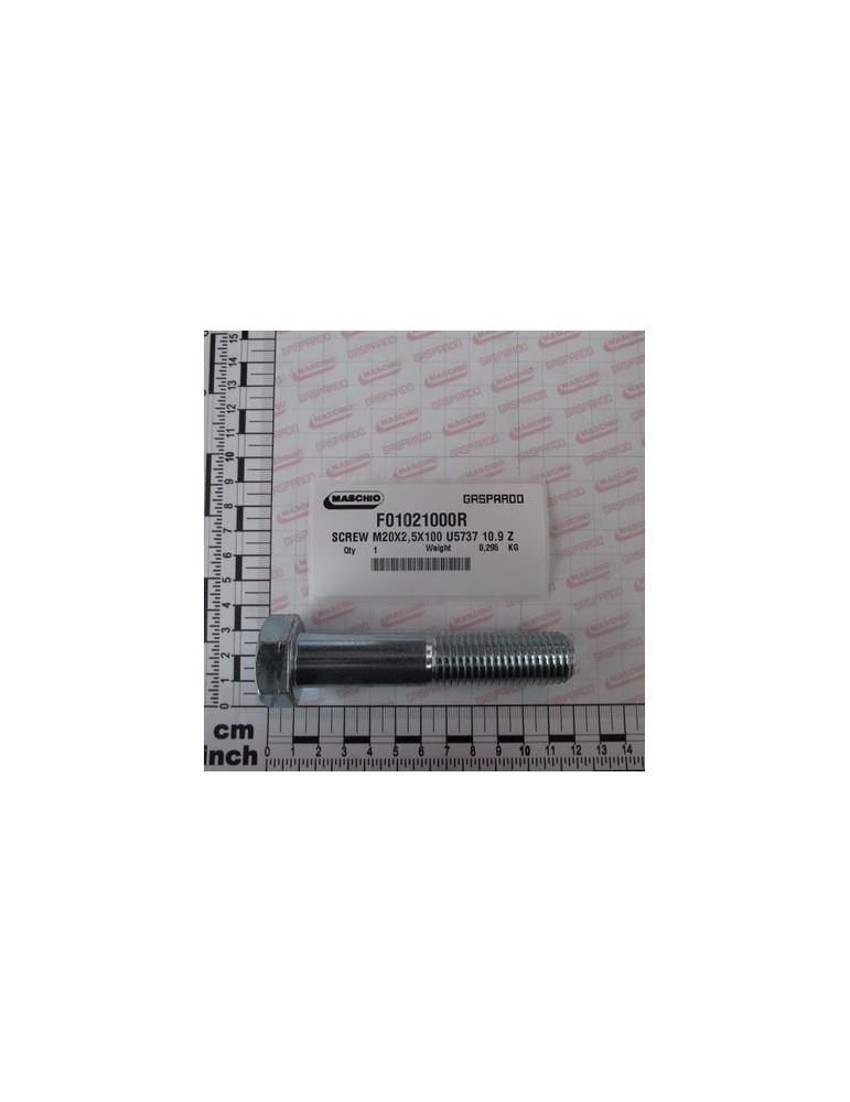 SCREW M20X2,5X100 U5737 10.9ZN