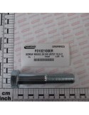 SCREW M20X2,5X100 U5737 10.9ZN