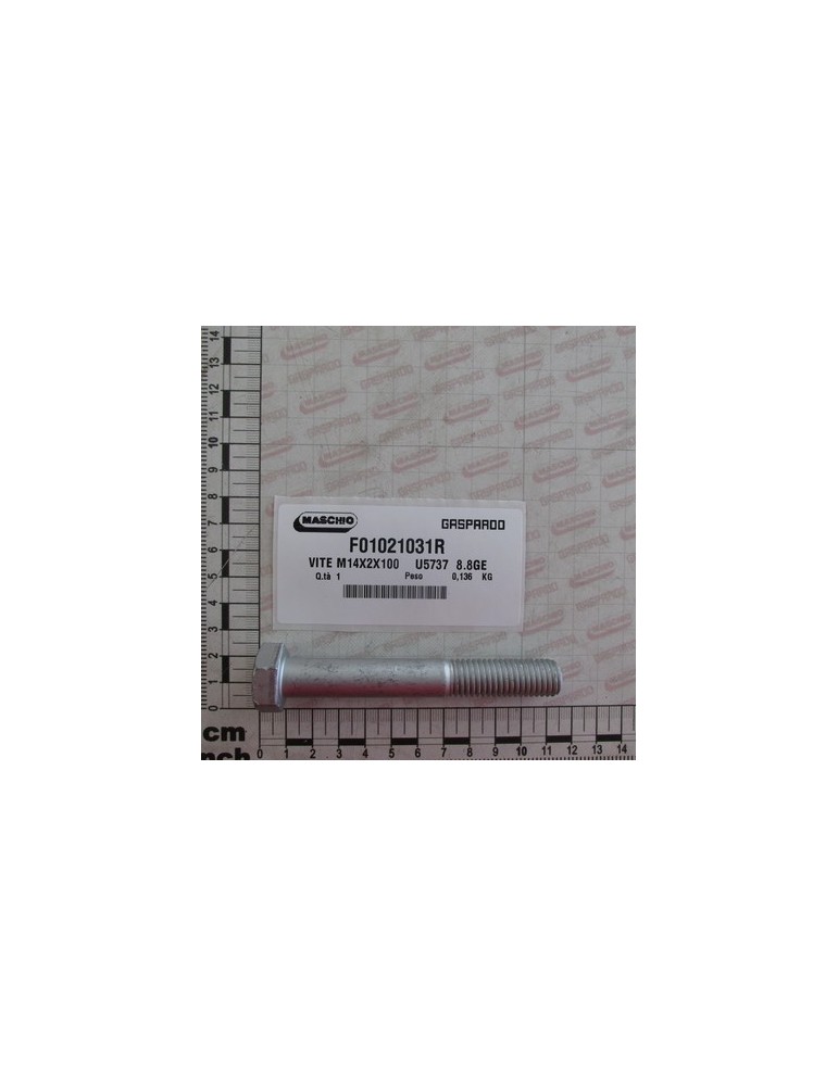 BOLT M14X2   X100 U5737  8.8GE