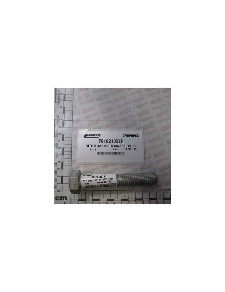 BOLT M18X2,5X100  U5737  8.8GE