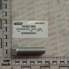 SCREW M18X2,5X70  U5739  8.8GE