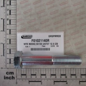 G.SCREW M20X1,5X110 U5737 12.9