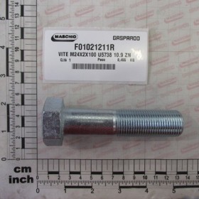 SCREW M24X2X100 U5738 10.9 ZN