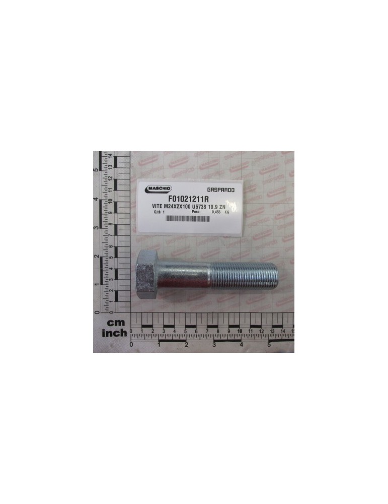 SCREW M24X2X100 U5738 10.9 ZN