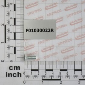 SCR. M5X0,8X16    U5933 10.9ZD