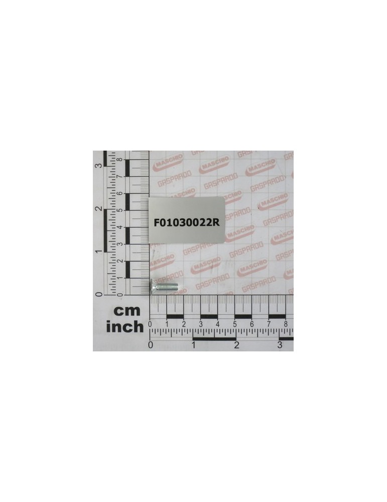 SCR. M5X0,8X16    U5933 10.9ZD