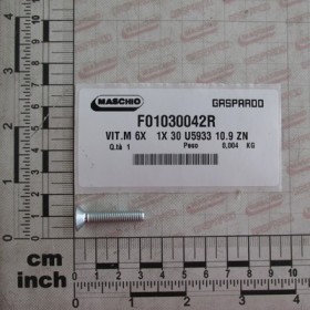 SCREW 6X 1X 30 U5933 10.9 ZN