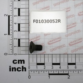SCR. M8X1,25X10 U5933 10.9BR