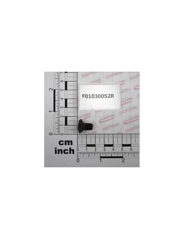 SCR. M8X1,25X10 U5933 10.9BR