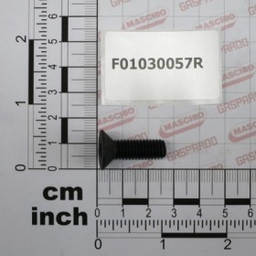 SCR. M8X1,25X25   U5933 10.9BR