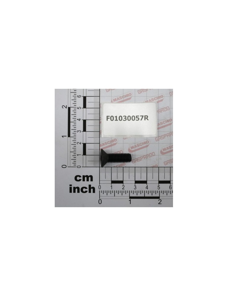 SCR. M8X1,25X25   U5933 10.9BR